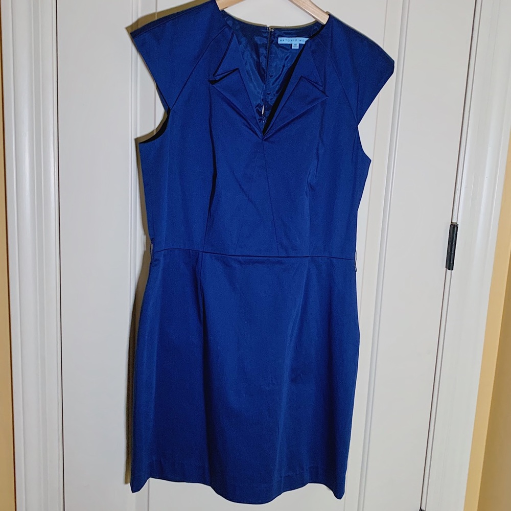 Professional/office dress
